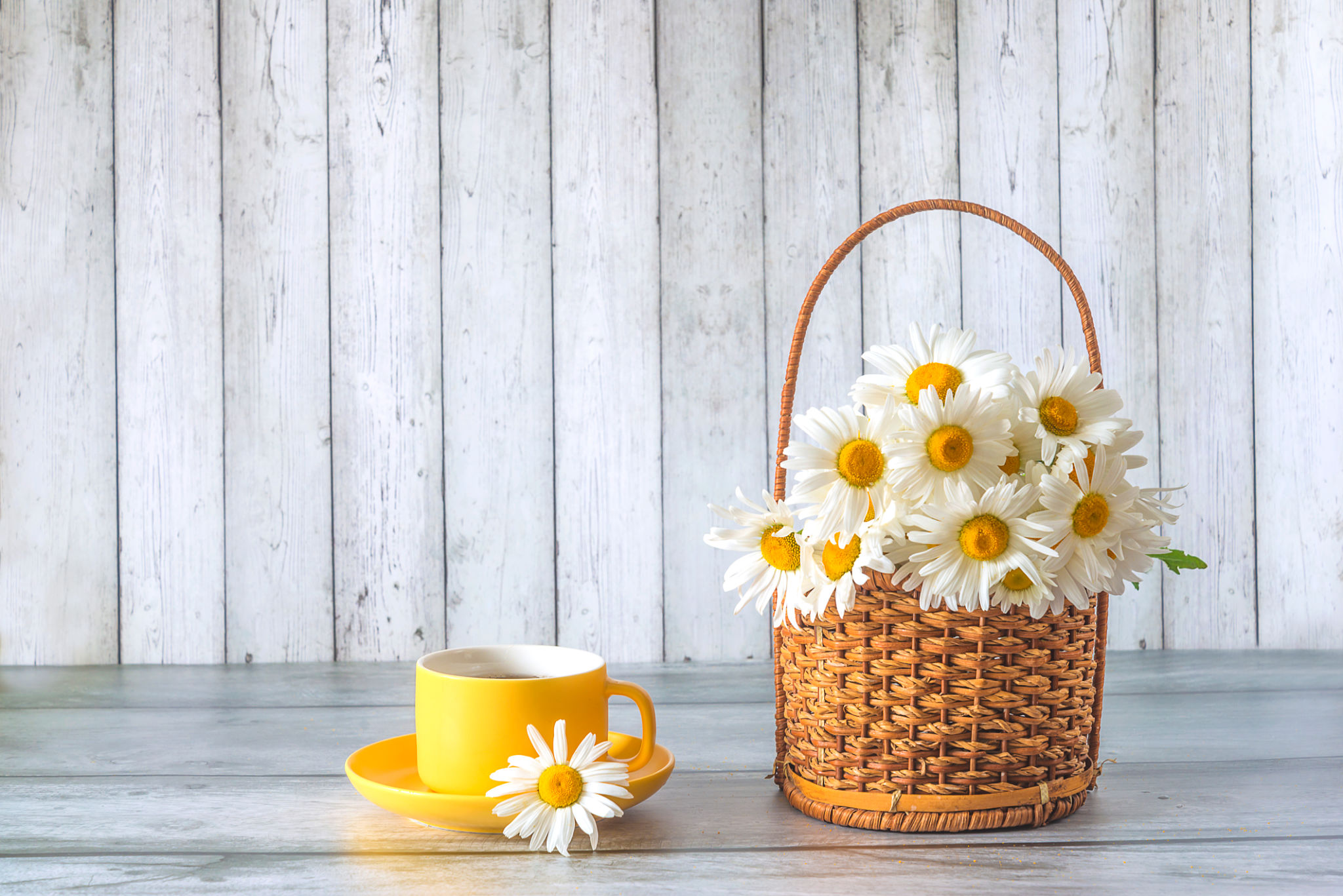 tazza di tisana del mattino anti gonfiore con camomilla in cucina illuminata dal sole